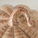 Courge - Auyama (grande)