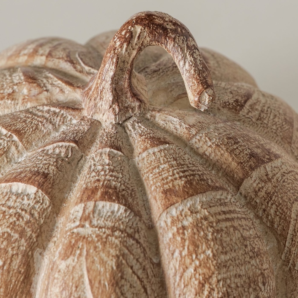 Courge - Auyama (petite)