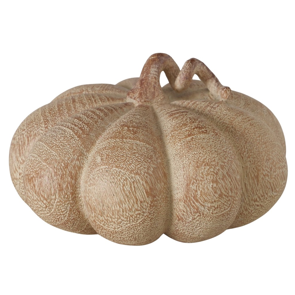 Courge - Auyama (petite)
