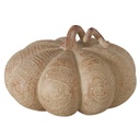 Courge - Auyama (petite)