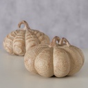 Courge - Auyama (petite)