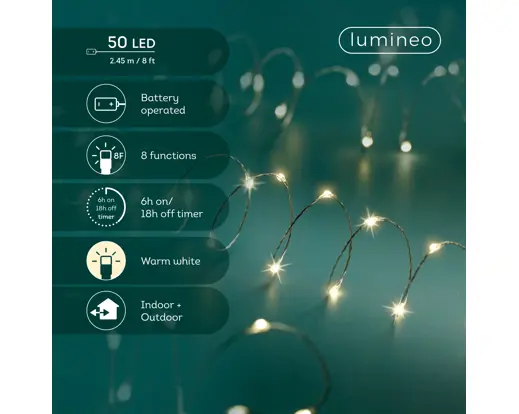 Guirlande LED Outdoor - Effet Clignotant (50 led)