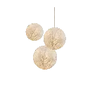 LM-ORV_3.webp