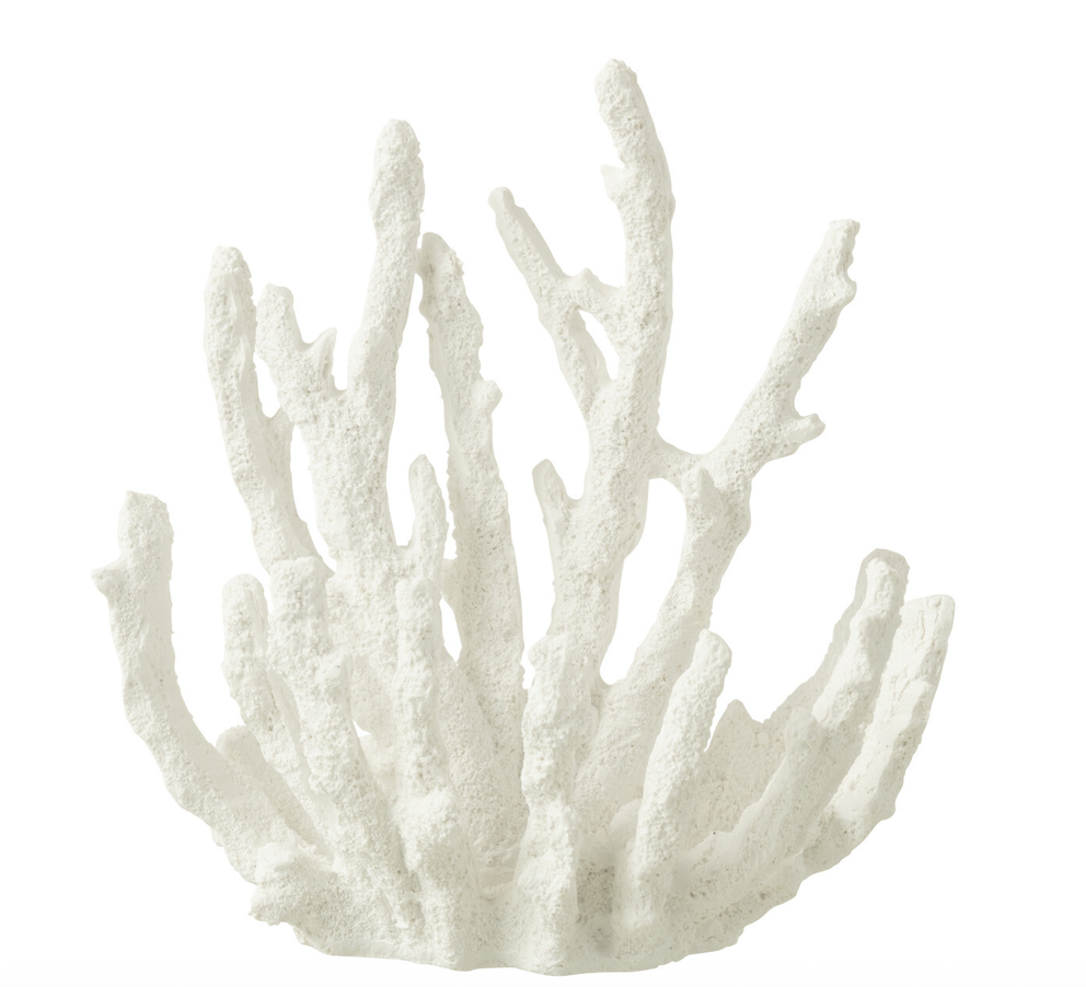 Corail - Blanc (petit)