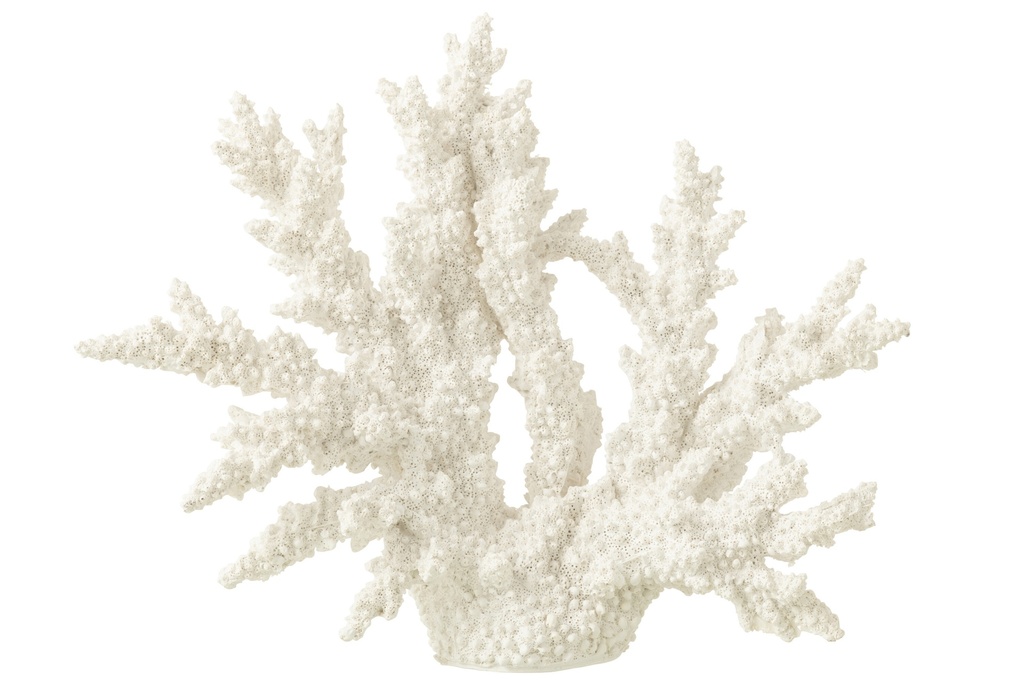 Corail - Blanc (grand)