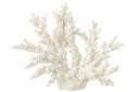 Corail - Blanc (grand)