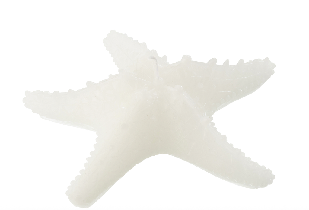 Bougie - Étoile de Mer (grande)