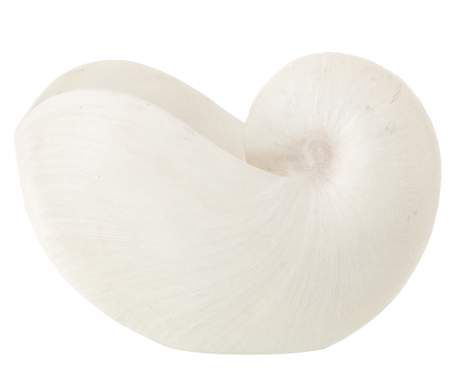 Coquillage en Résine - Blanc