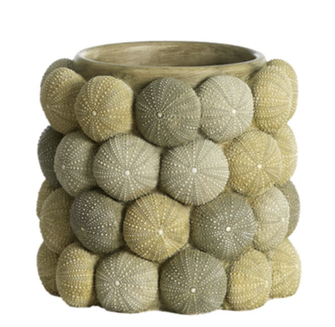 Cache-Pot - Oursin (vert)