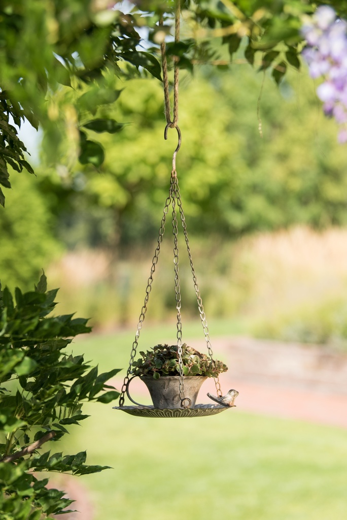 Mangeoire à Oiseaux - Tasse