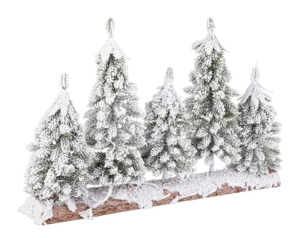 Forêts de Sapin - Venosta
