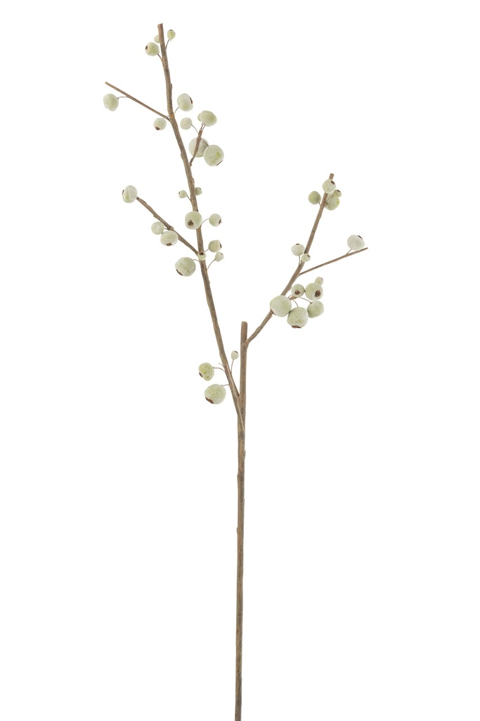 Branche - Petites Pommes