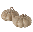 Courge - Auyama (petite)