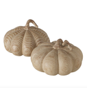 Courge - Auyama (grande)