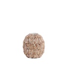 Vase - Shell Turritella