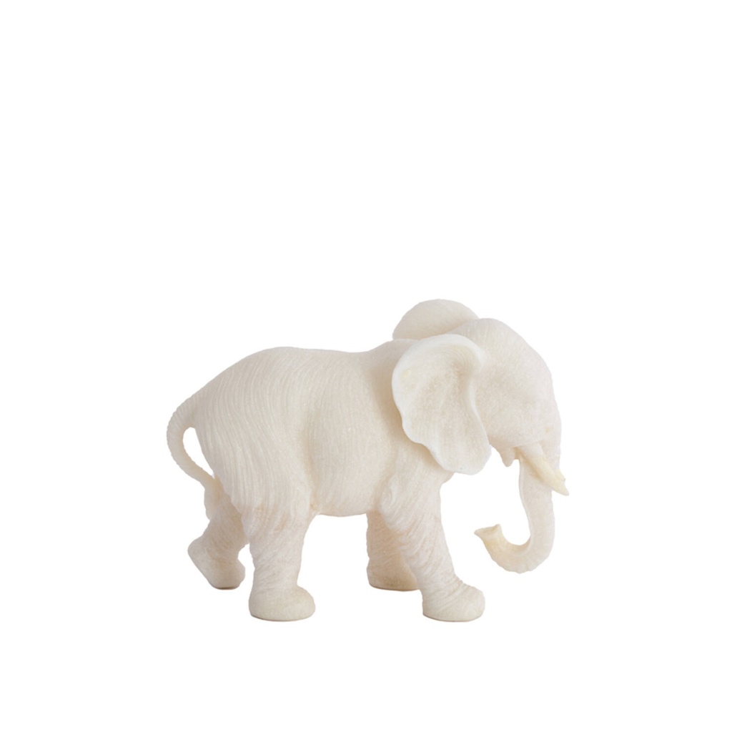 Éléphant - Gajah