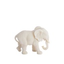 Éléphant - Gajah