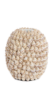 Vase - Shell Spiral (grand)