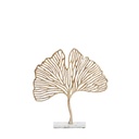 Feuille Ginkgo - Leaf 