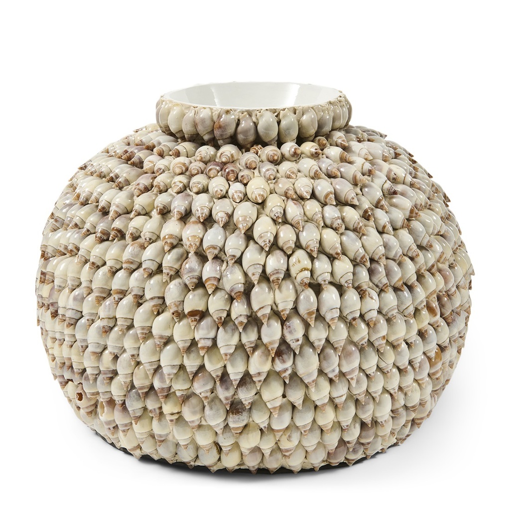 Vase - Shell