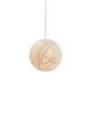 Suspension - Orve
