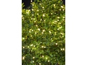 Guirlande Led Solaire - Sirius Angel