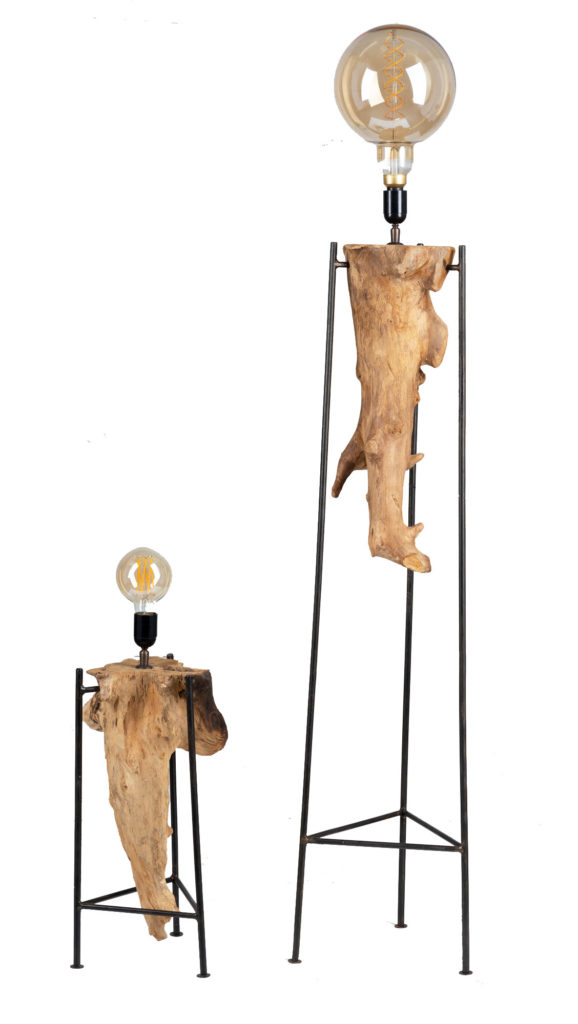[16013] Pied de Lampe - Rama (Moyen)