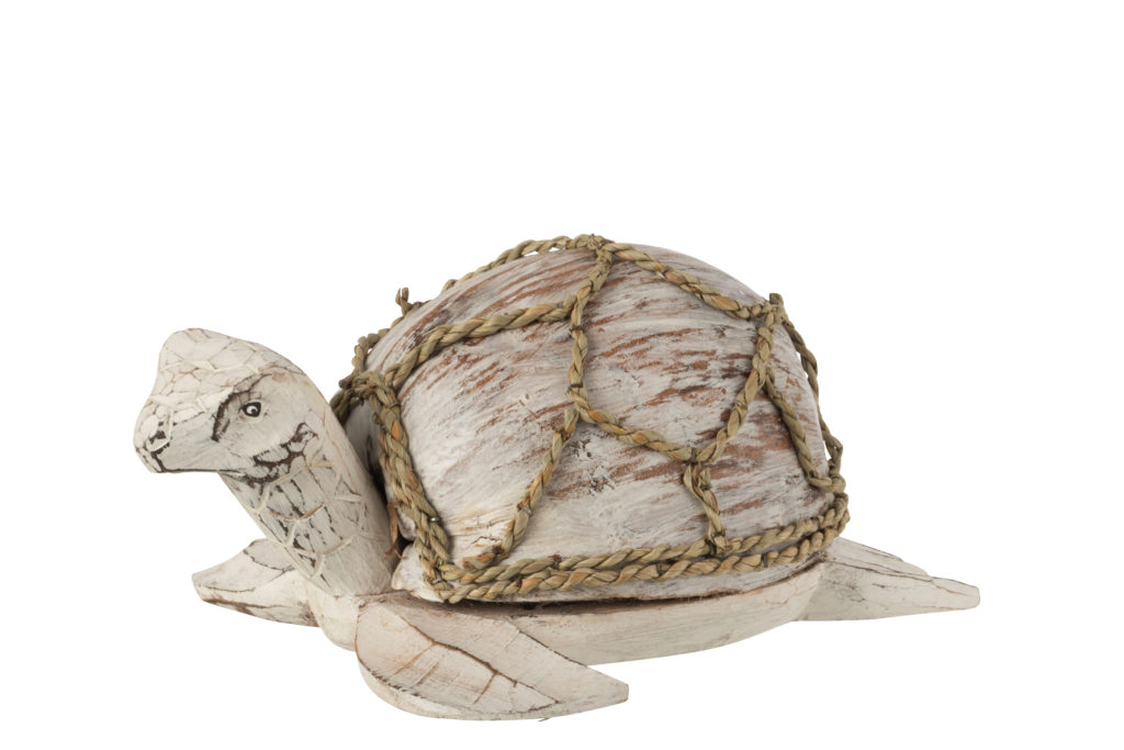 Tortue « Noix de Coco »