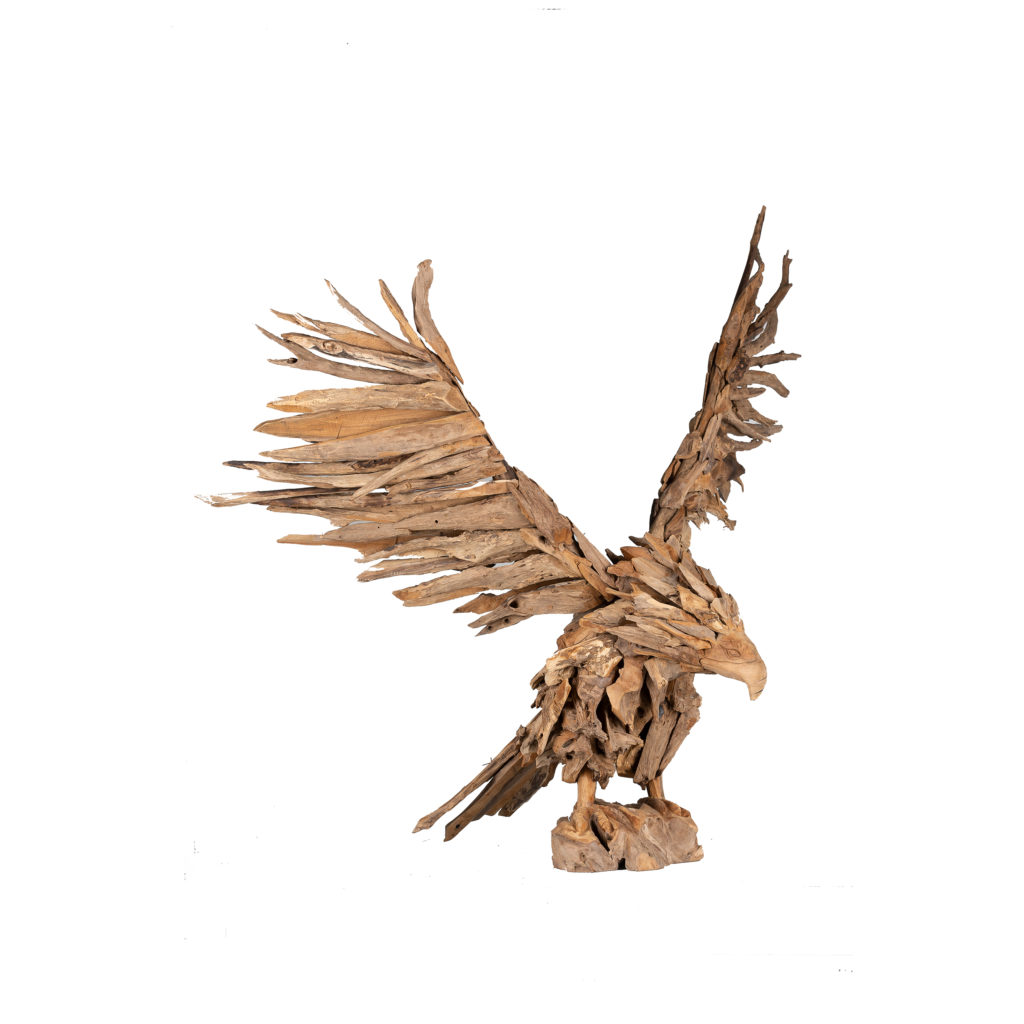 Aigle Royal - Teck