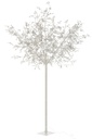 Arbre Blanc Brillo LED