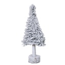 Sapin Blanc Igor