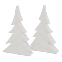 Sapin Blanc - Jade