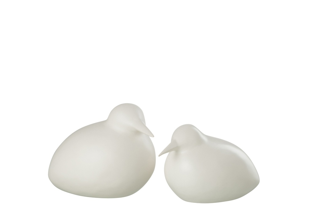 Oiseau Assis Blanc