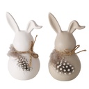 Lapin - Plumes