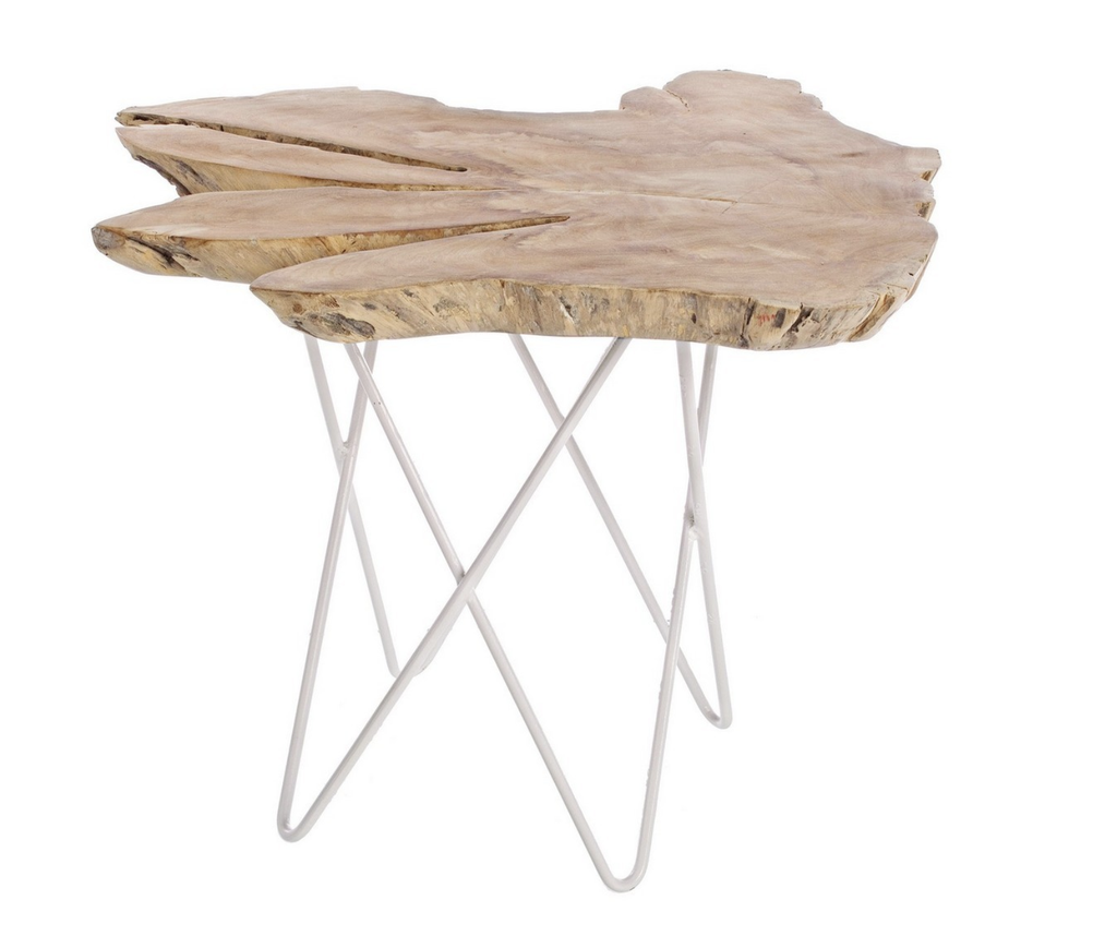 Table Basse en Teck - Racine