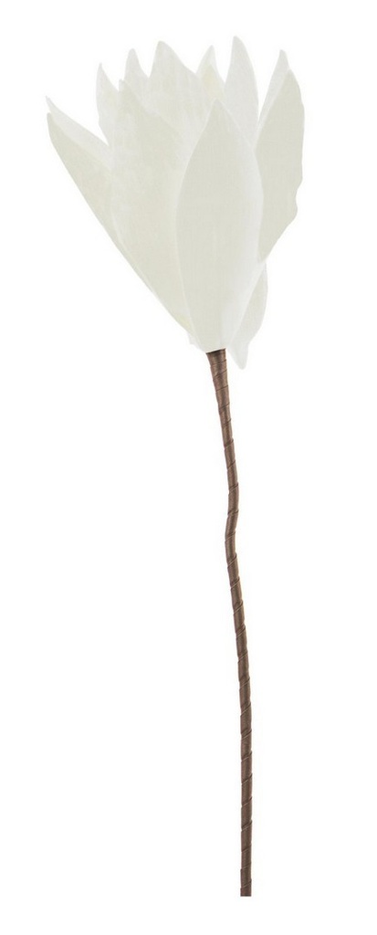 Fleur synthétique - Aloe Ferox