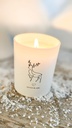 Bougie - Hiver Blanc