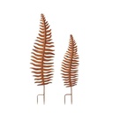 Pic Fougère - Rouille