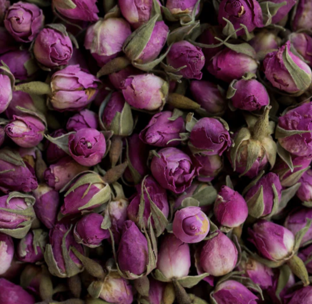 Fleurs Séchées - Rose Persan