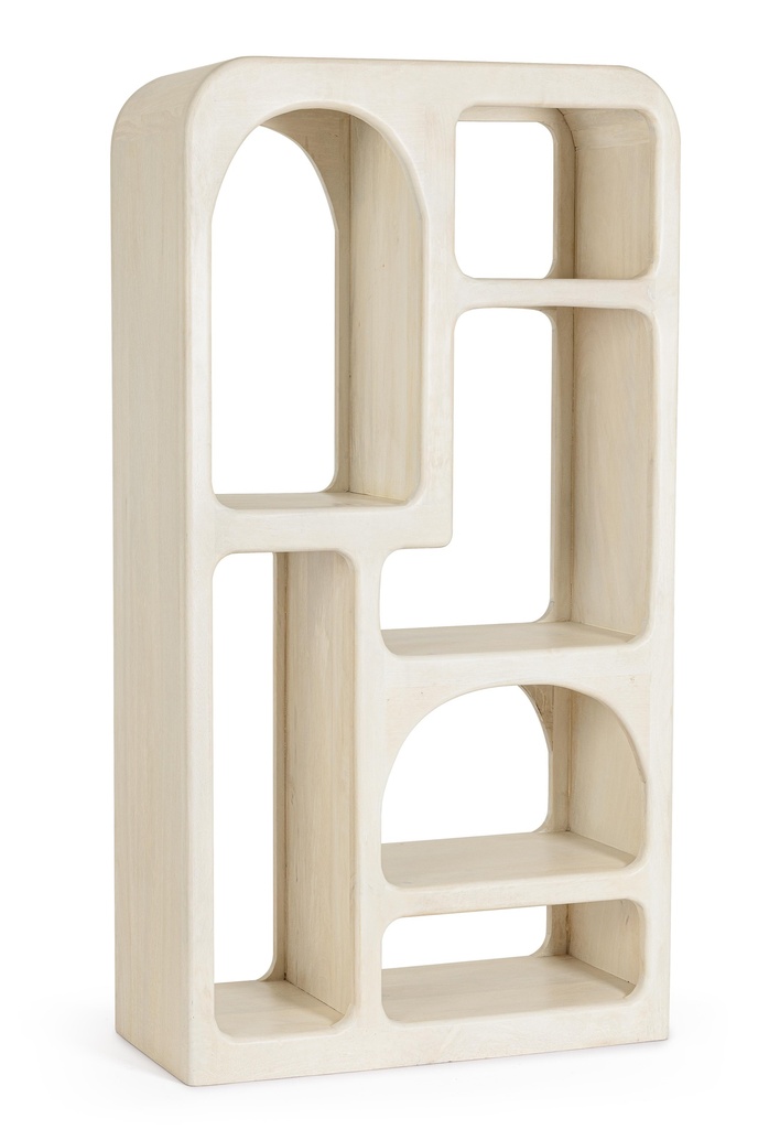 Bibliothèque - Cairo