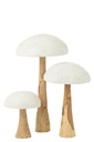 Champignon en Bois 