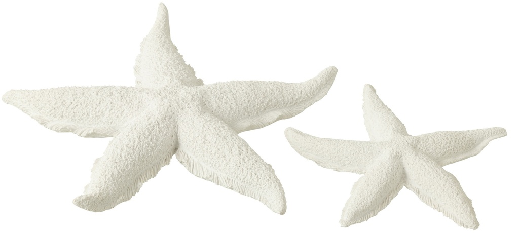 Étoile de Mer 