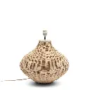 Pied de Lampe - Novi