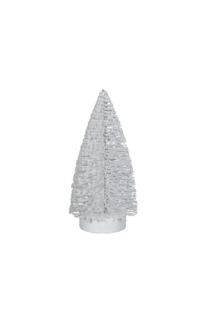Sapin Blanc - Frozz