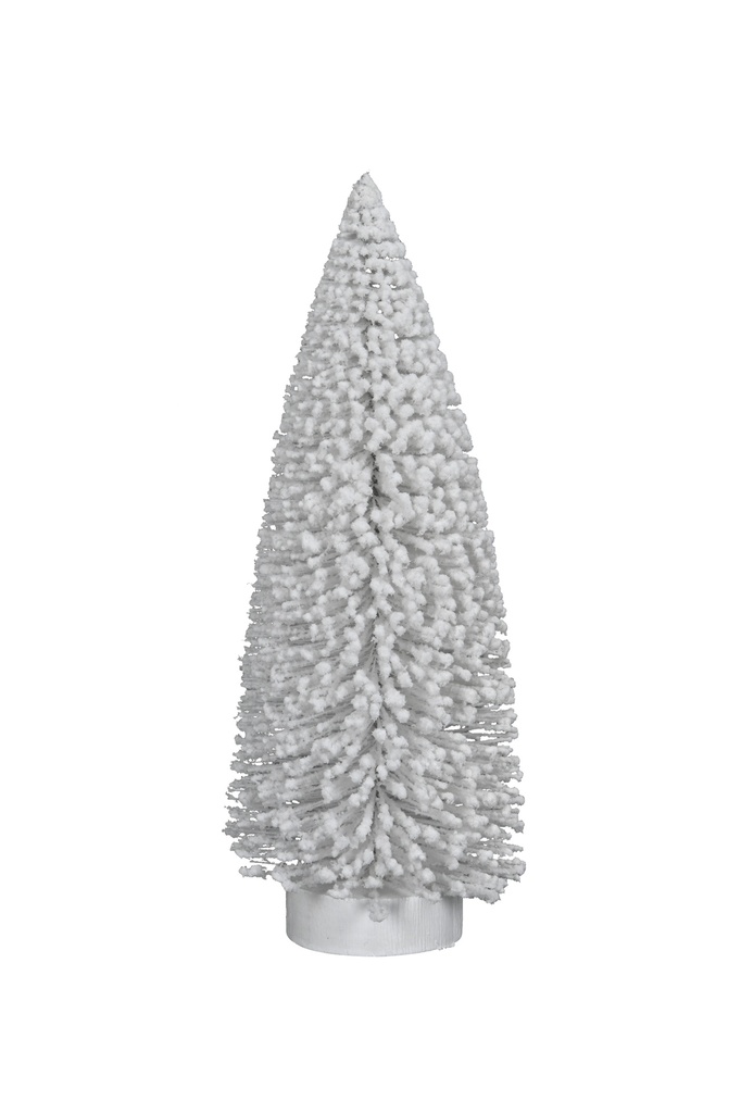 Sapin Blanc - Frozz 