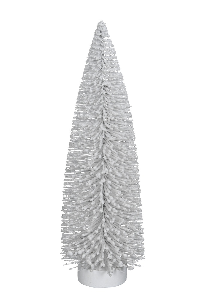 Sapin Blanc - Frozz 