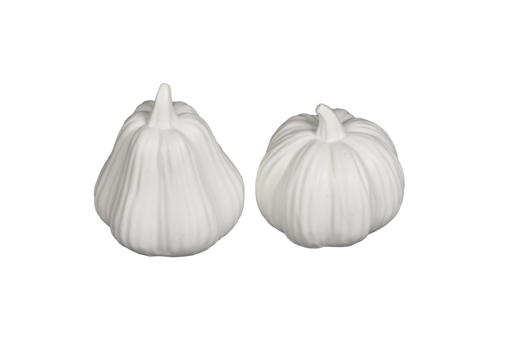 Courge Blanche - Patidou Petit (pièce)