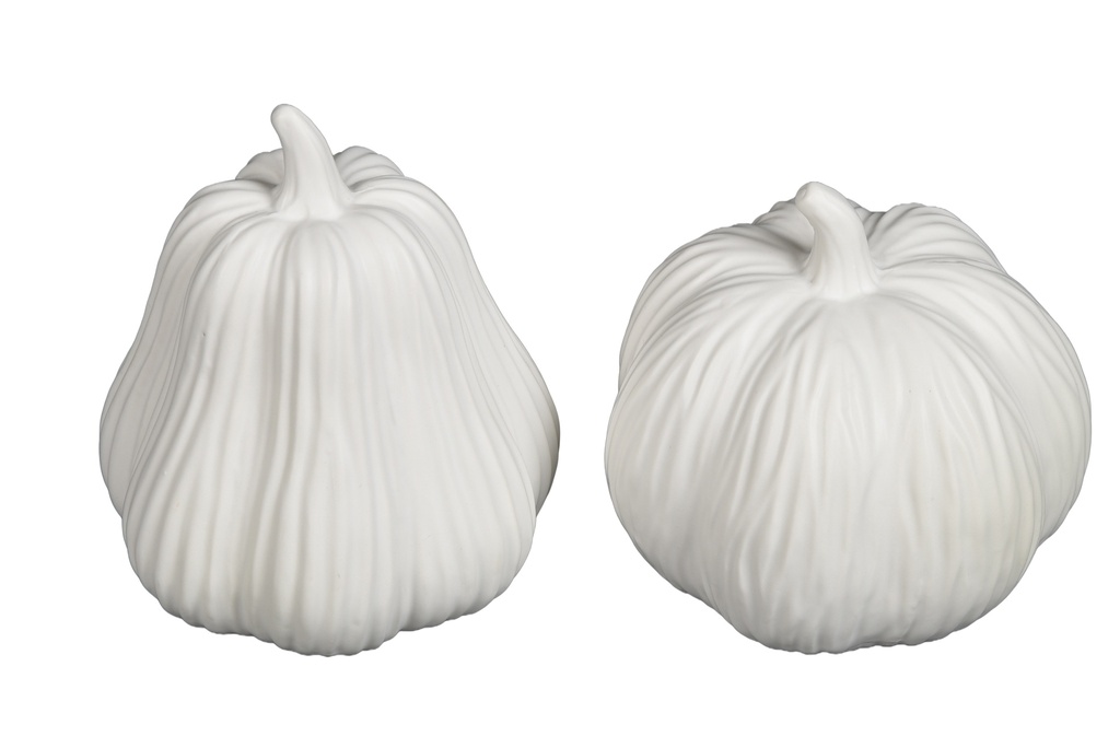 Courge Blanche - Patidou Grand (pièce)