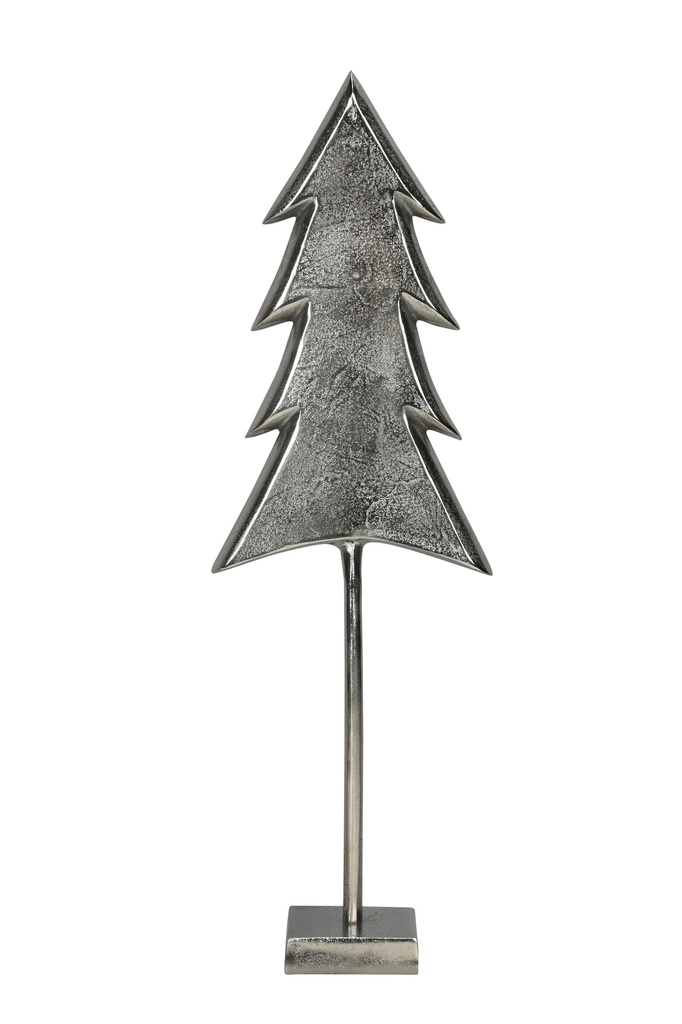 Sapin Argenté - Tako  