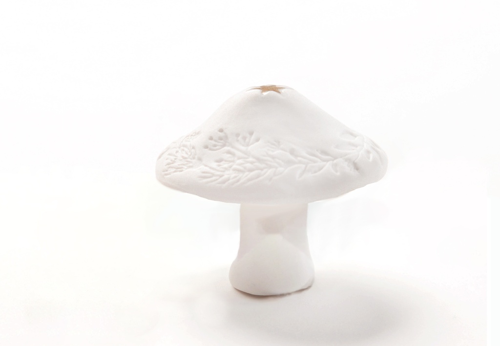 Champignon en Porcelaine - Étoile